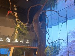 -桂满陇·海市蜃楼·黑金(国金店)