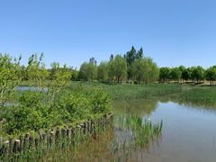 -张家湾公园