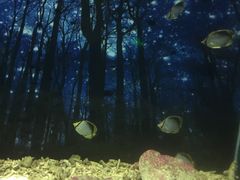 -北海·海洋之窗