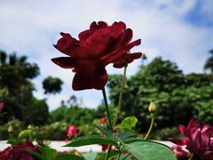 -人民公园(罗湖区)