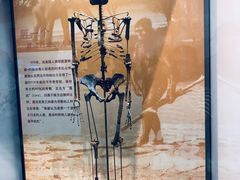 -天津自然博物馆