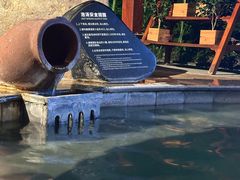 -天目湖御水温泉·度假酒店