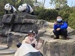 -都江堰中华大熊猫苑