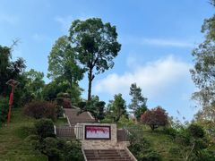-白云山风景名胜区