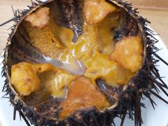 -海胆小馆(东北水饺·春柳店)