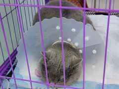 -达爱动物医院·犬猫分区·CT·复杂眼科(远洋山水分院)