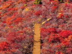-水峪民俗村