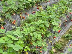 -东钱湖旅游度假区