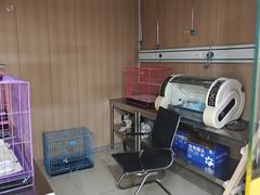 -米苏动物医院·犬猫专科·骨科外科内窥镜
