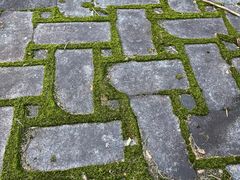 -安吉龙王山峡谷漂流