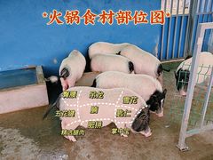 -上方山森林动物世界