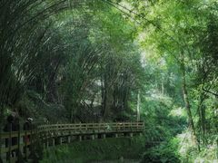 -凤栖山