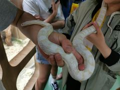 -藦茜花园宠物主题亲子互动体验馆(国顺东路店)