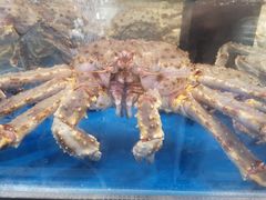 -盒马X会员店(上海森兰商都店)