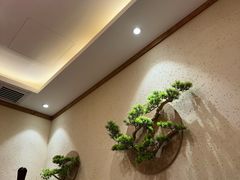 -鸽子窝(青塔店)