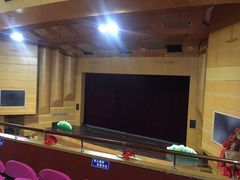 -厦门歌舞剧院