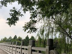 -同里国家湿地公园