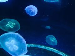 -福州罗源湾海洋世界旅游区