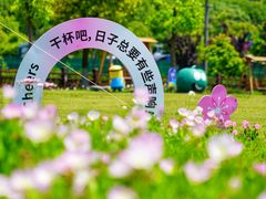 -菊园百果园