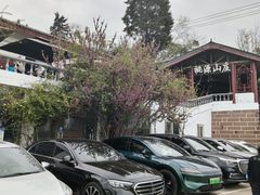 -桃源山庄·摘樱桃·柴火鸡·烧烤团建(龙泉山店)