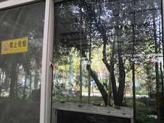 -老磨油饼(高陵店)