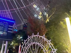 -南昌之星摩天轮