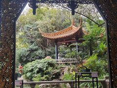 -广州兰圃