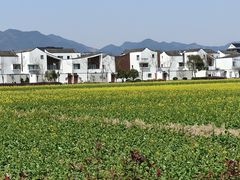 -东梓关景区村庄