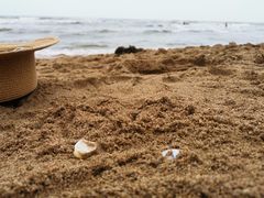 -北戴河东海水浴场