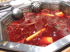 -蜀九香火锅(九眼桥店)