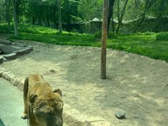 -北京野生动物园