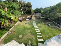 -广东惠东海龟国家级自然保护区