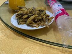 -鲤鱼塘农家山庄