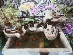 -川西坝子(苏州城市生活广场店)