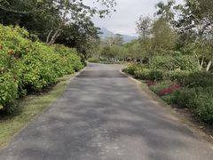 -中国科学院西双版纳热带植物园