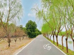 -广富林郊野公园