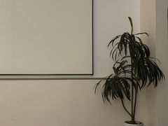 -丽斯未来酒店(合肥南七店)