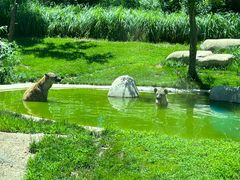 -北京野生动物园