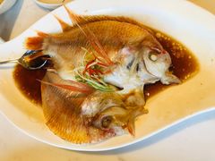 -锦江饭店锦北楼-锦江厅
