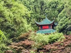 -岳麓山风景名胜区