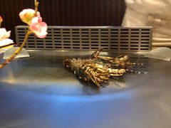 -和·铁板烧餐厅·昆泰嘉晟酒店(望京店)