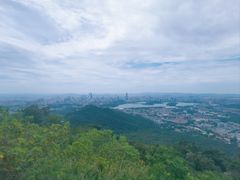 -紫金山山顶公园