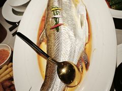 清蒸白水鱼-醉庐·新上海菜(南京西路店)