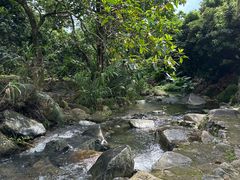 -广州市石门国家森林公园