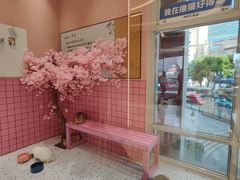 -猫猫幼稚园·撸猫·桌游·电玩