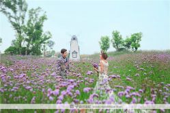 -都市丽人婚纱摄影