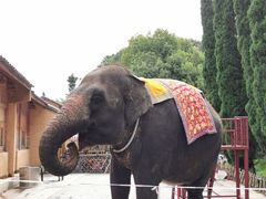 -云南民族村