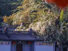 -深圳国际园林花卉博览园