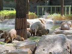 -北京野生动物园