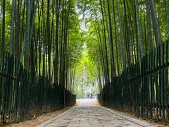 -树山生态村